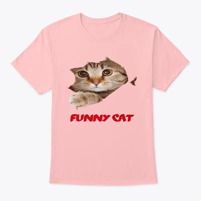 funny cat