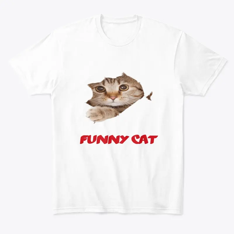 funny cat